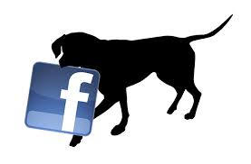 Dog with Facebook Icon