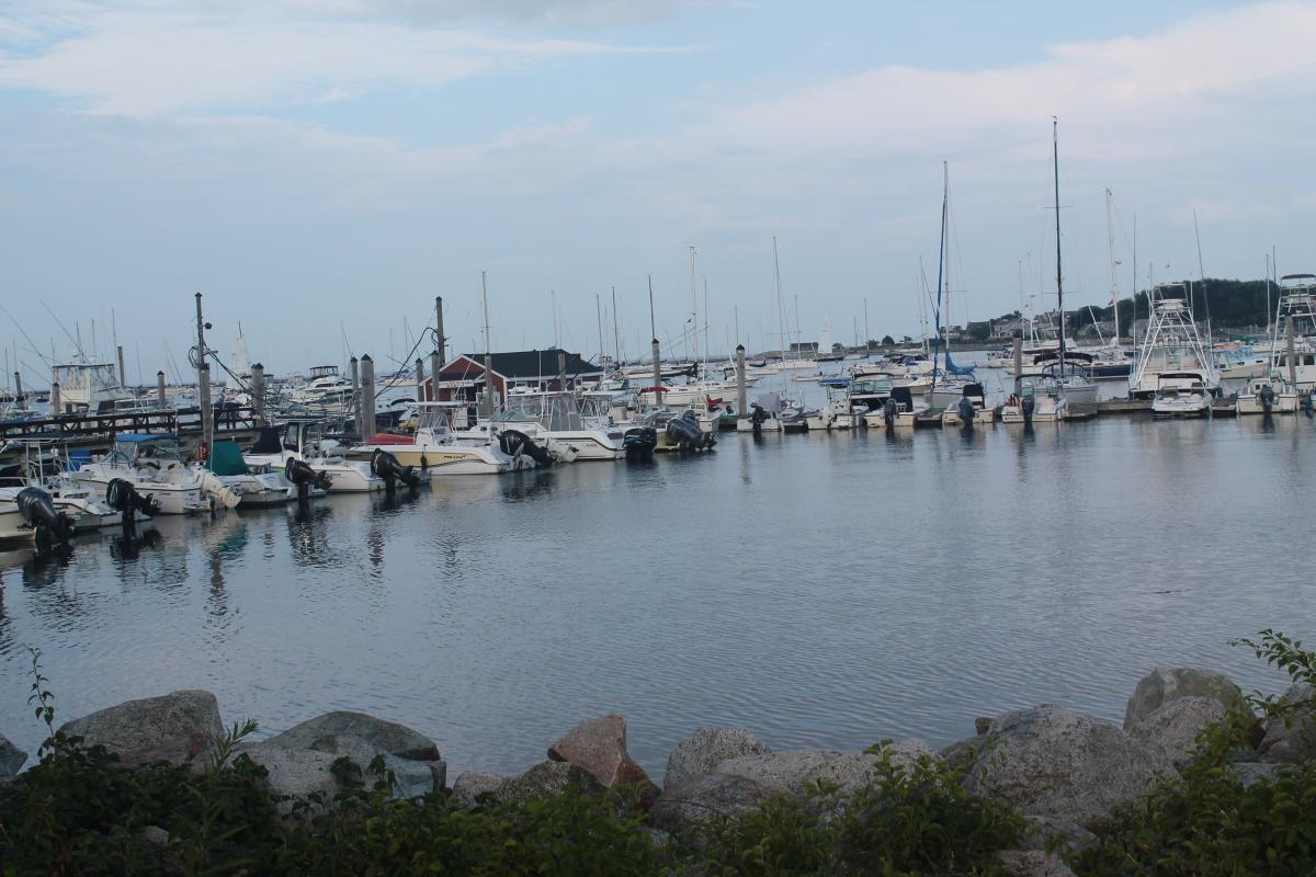 Harbor View 1