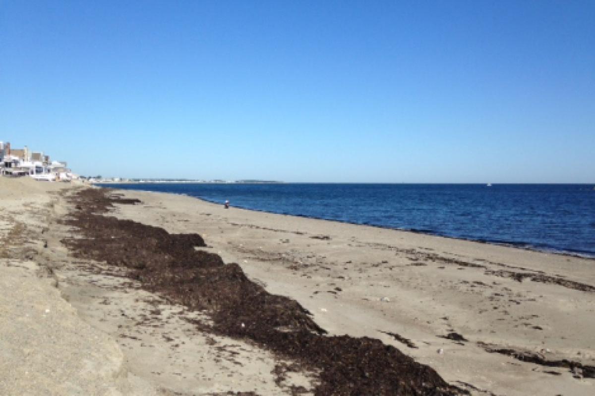 Sand Hills Beach