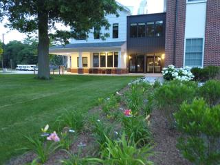 Stephen Tooker Lily Garden in foreground