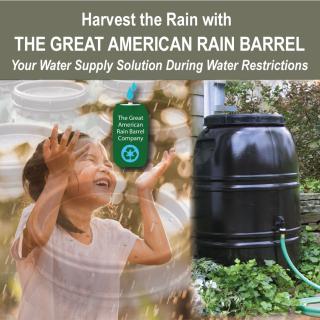 Rain Barrel 