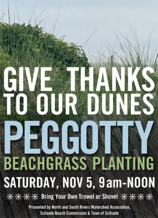 Give Thanks To Our Dunes -- Peggotty Beachgrass Planting