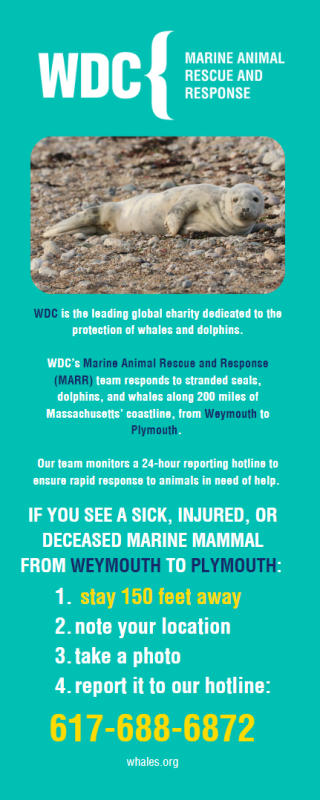 Marine Animal Rescue 