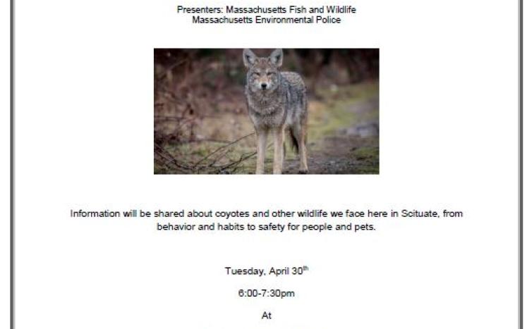 coyote presentation flyer